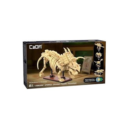DINOSAUR FOSSIL TRICERATOPO PZ.272
