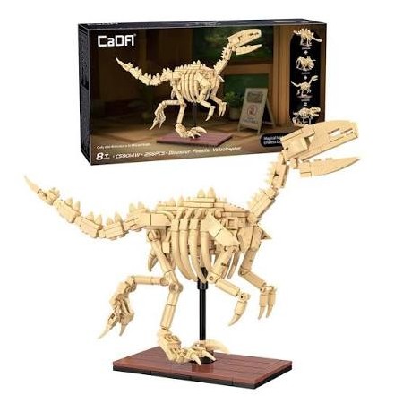 DINOSAUR FOSSIL VELOCIRAPTOR PZ.256